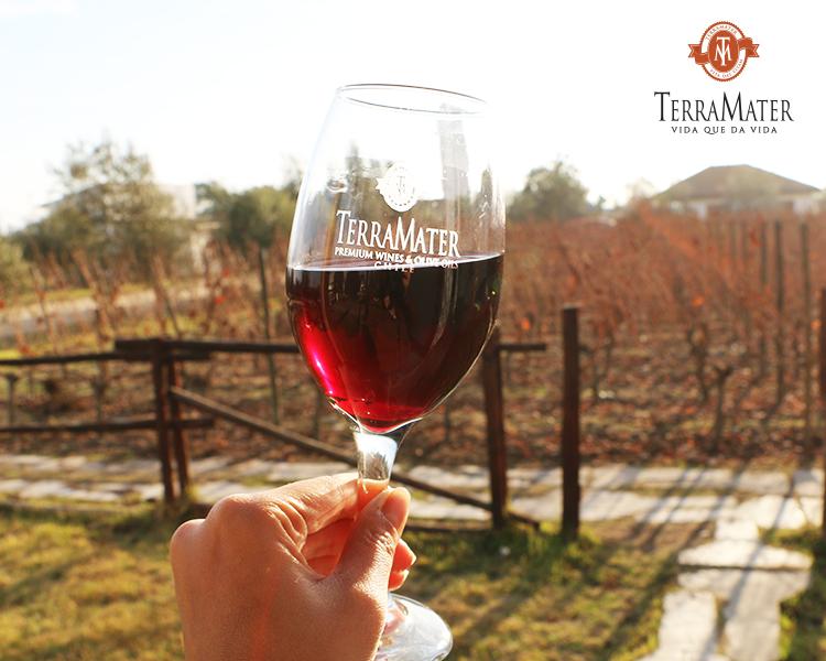 PAS02_01.jpg PAS02 01