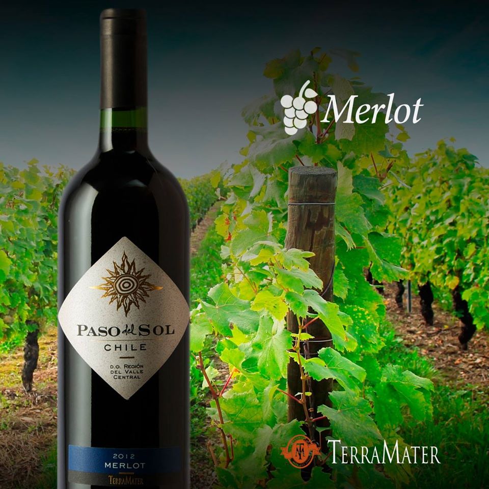 PAS05_01.jpg PAS05 01