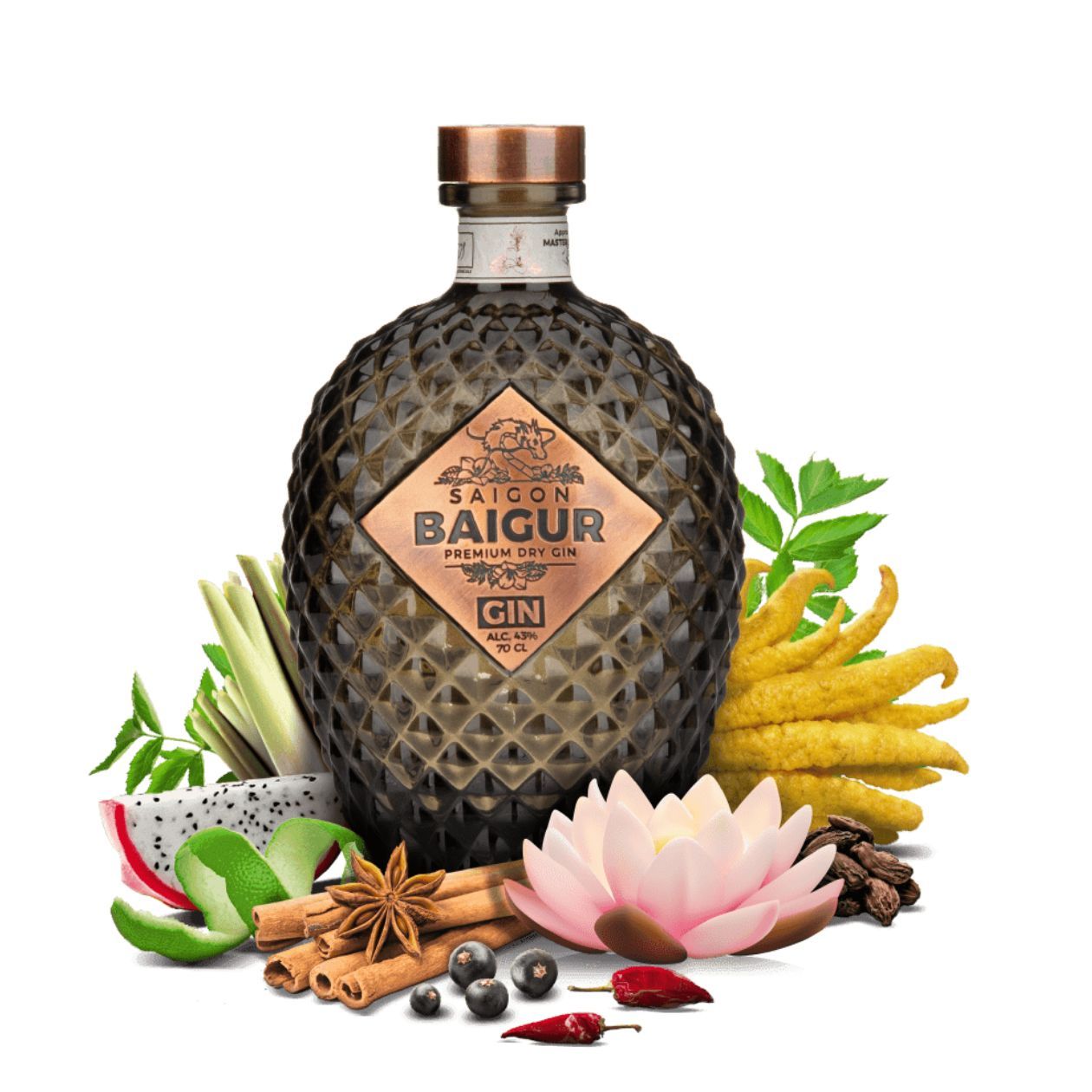 SGB01_02.jpg SGB01 02