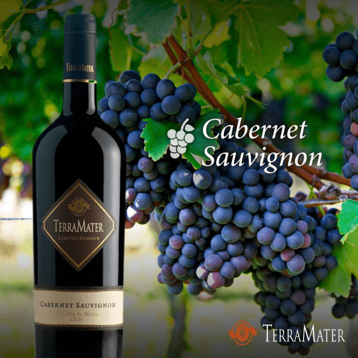 TERL01_01.png TERL01 01