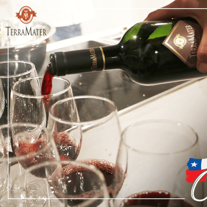 TERL01_02.png TERL01 02