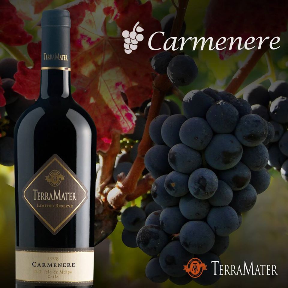 TERL02_01.jpg TERL02 01