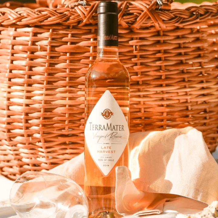 TERV07_02.png TERV07 02