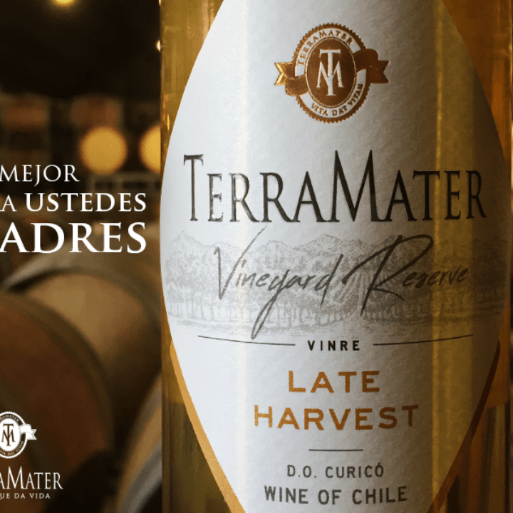 TERV07_03.png TERV07 03