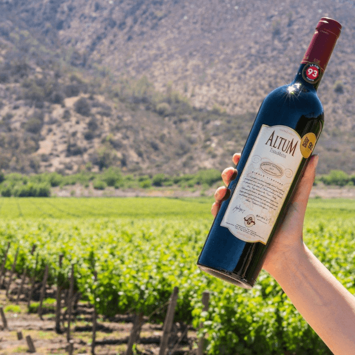 ALT02_03.png ALT02 03