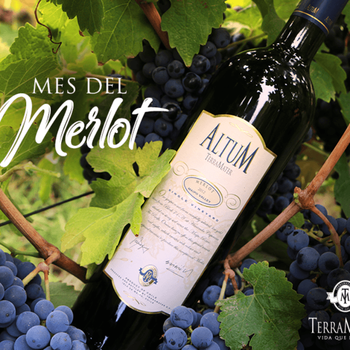 ALT04_02.png ALT04 02