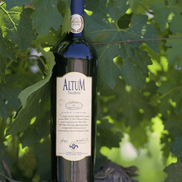 ALT04_03.png ALT04 03